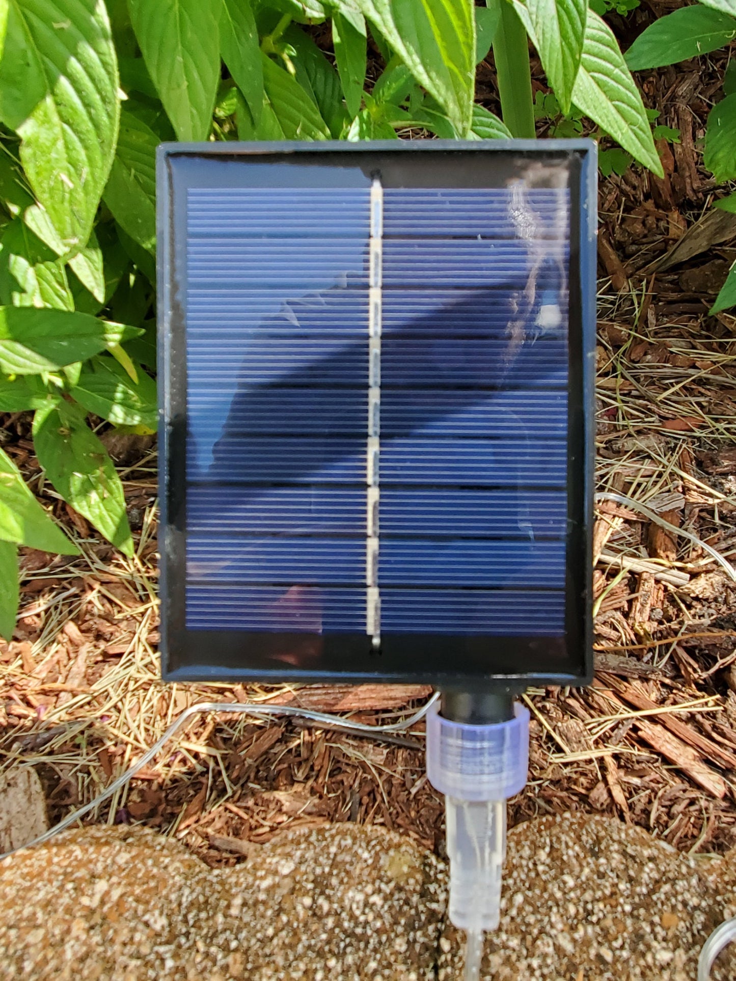 Solar Lighted Vertical Address Sign | Modern LED House Numbers with Stakes | Weatherproof Yard Marker
